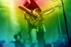 203905_d7_05497_fv